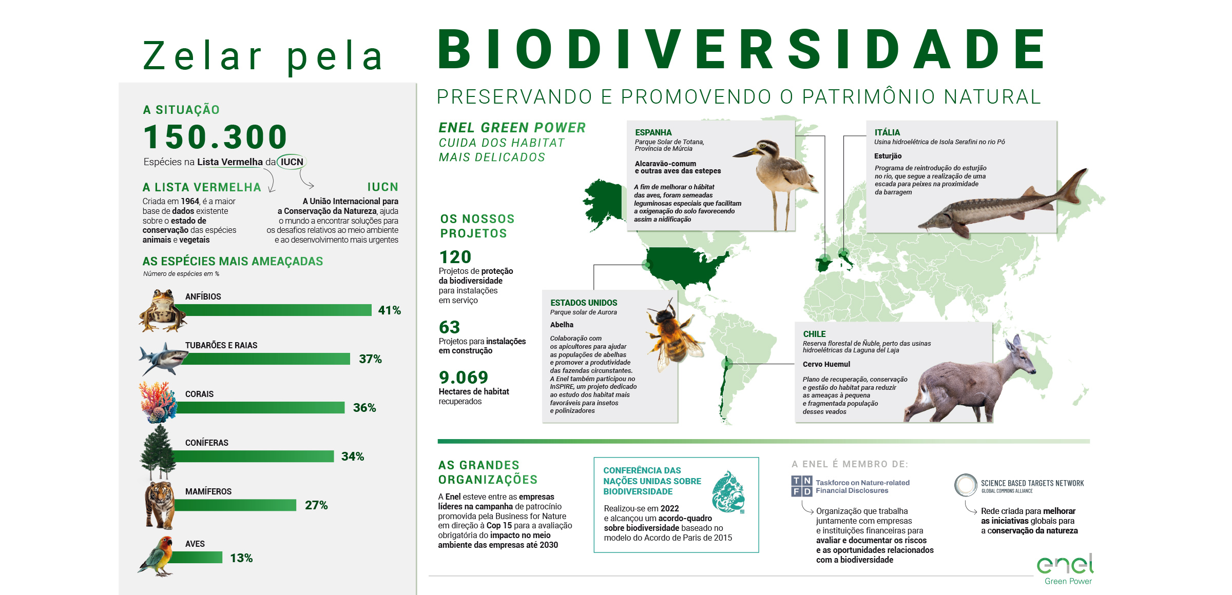 o-que-e-biodiversidade