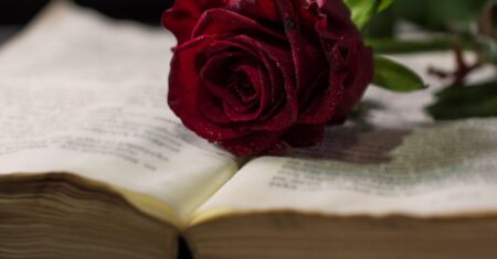 Descubra o erotismo na literatura Uma rosa vermelha fresca repousa sobre as páginas de um livro aberto, criando um contraste visual.